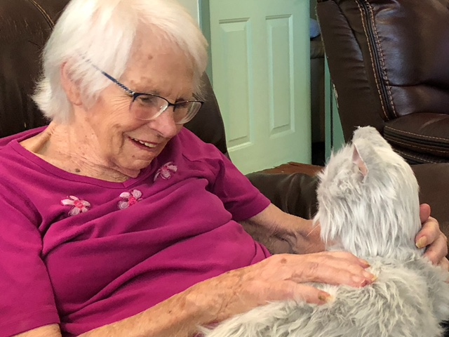 Community Hospice & Palliative Care Patient with Robotic Cat